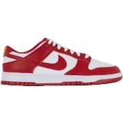 Baskets Nike Dunk Gym