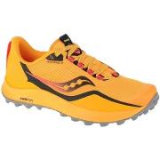 Chaussures Saucony Peregrine 12