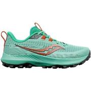 Chaussures Saucony Peregrine 13