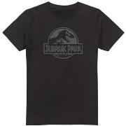 T-shirt Jurassic Park TV2143