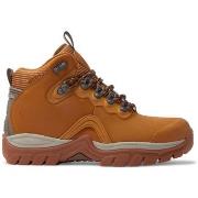 Boots DC Shoes Navigator