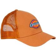 Chapeau Dickies SUMITON TRUCKER