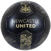 Accessoire sport Newcastle United Fc BS4610