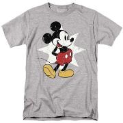 T-shirt Disney TV2951