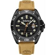 Montre Timberland Montre Homme TDWGB2230601 (Ø 46 mm)