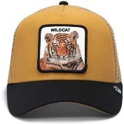 Chapeau Goorin Bros The Wildcat Tiger