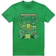 T-shirt Teenage Mutant Ninja Turtles TV2651