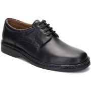 Derbies Comodo Sport -