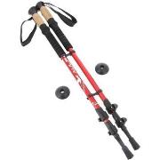 Accessoire sport Aulp Baton all mountain