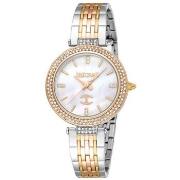 Montre Roberto Cavalli Montre Femme SAVOCA 2023-24 COLLECTION (Ø 32 mm...