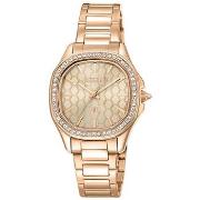 Montre Roberto Cavalli Montre Femme JC1L263M0075