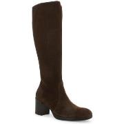 Bottes Melluso Z244W-246598