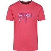 T-shirt enfant Regatta Amuse II