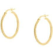 Boucles oreilles Cleor Boucles d'oreilles en or 375/1000