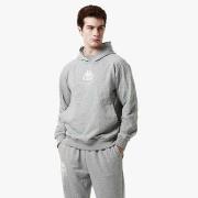 Sweat-shirt Kappa Hoodie Authentic Giano