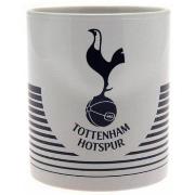 Accessoire sport Tottenham Hotspur Fc TA5527