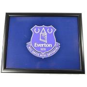 Accessoire sport Everton Fc BS3904