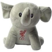 Accessoire sport Liverpool Fc BS4553