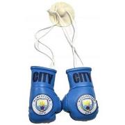 Accessoire sport Manchester City Fc BS4556