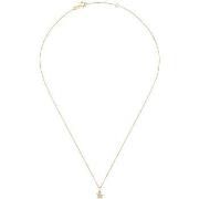 Collier Cleor Collier en or 375/1000 et zircon