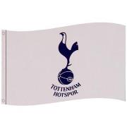 Accessoire sport Tottenham Hotspur Fc TA4613