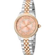 Montre Roberto Cavalli Montre Femme JC1L272M0065