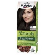 Soins cheveux Palette NATURAL tinte 1.0-black 1 u