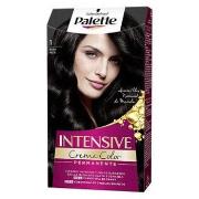 Soins cheveux Palette INTENSIVE tinte 1-negro 1 u