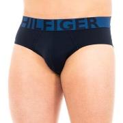 Caleçons Tommy Hilfiger 1U87905329-416