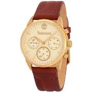 Montre Timberland TDWLF2101901, Quartz, 38mm, 5ATM