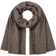 Echarpe Barts Witzia scarf brown