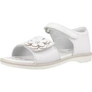 Sandales enfant Chicco COLORY