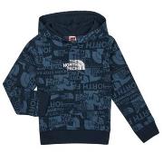 Sweat-shirt enfant The North Face BOYS DREW PEAK LIGHT P/O HOODIE