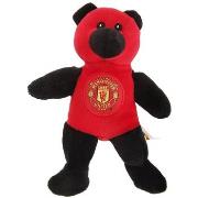 Accessoire sport Manchester United Fc BS3988