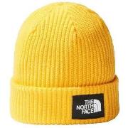 Bonnet The North Face Salty Lined Summit