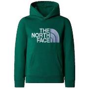 Pull enfant The North Face Drew Peak P/O