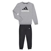 Ensembles de survêtement adidas Essentials Big Logo French Terry Jogge...