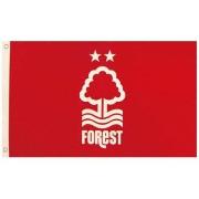 Accessoire sport Nottingham Forest Fc SG31353