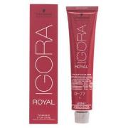 Soins cheveux Schwarzkopf IGORA ROYAL 0-77 02/13