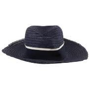 Chapeau Maison Michel Chapeau bleu