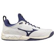 Chaussures Mizuno Alpine Guide