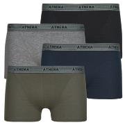 Boxers Athena BASIC COTON Pack de 4