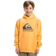 Polaire enfant Quiksilver Big Logo