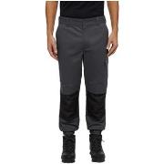 Ensembles de survêtement Dickies FS11303