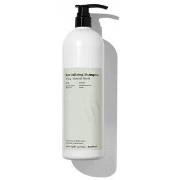 Soins cheveux Farmavita BACK BAR revitalizing shampoo nº04-natural her...