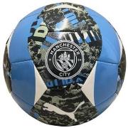 Ballons de sport Puma Mcfc prematch ball