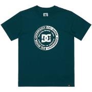 T-shirt DC Shoes DC Corpo