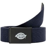 Ceinture Dickies ORCUTT WEBBING BELT