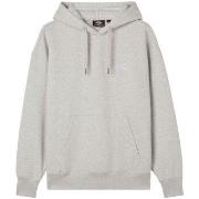 Sweat-shirt Dickies SUMMERDALE HOODIE