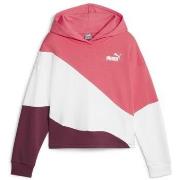 Sweat-shirt enfant Puma 673548-22